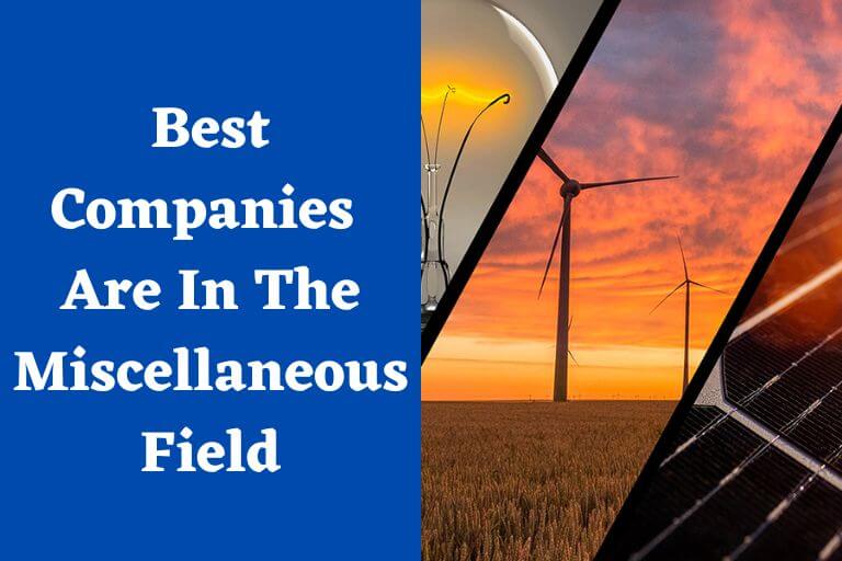 What Companies Are In The Miscellaneous Field?